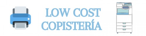 lowcostcopisteria.com Image