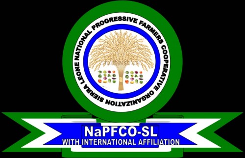 napfco-sl.com Image