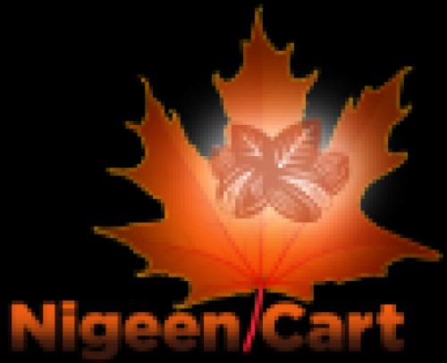 nigeencart.com Image