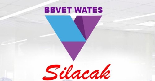 silacakbbvetwates.com Image