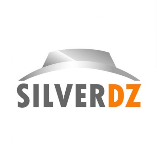 silver-dz.com Image