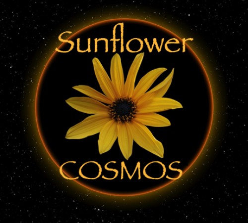 sunflowercosmos.org Image