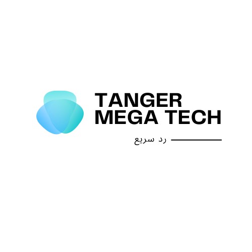 tangermegatech.com Image