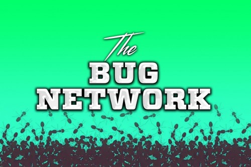 thebugnetwork.com Image