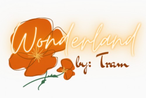 tramwonderland.com Image