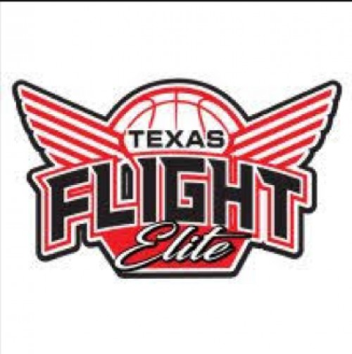 txflightelite.com Image