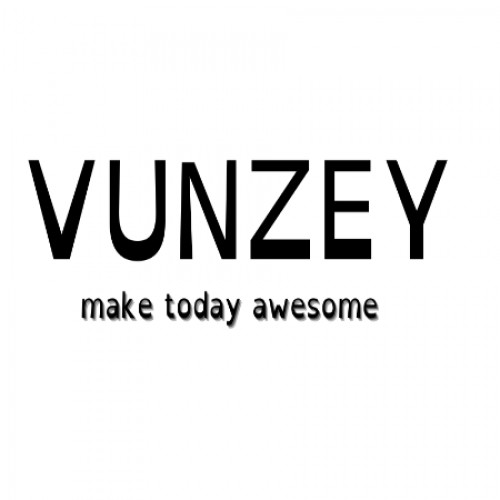 vunzey.com Image