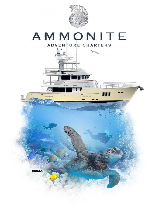 ammonitecharters.com Image