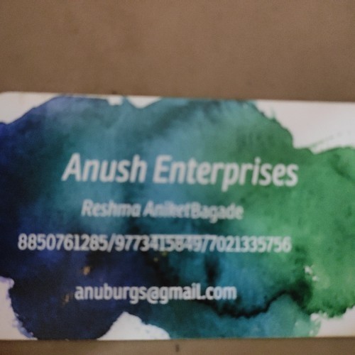 anushenterprises.agency Image