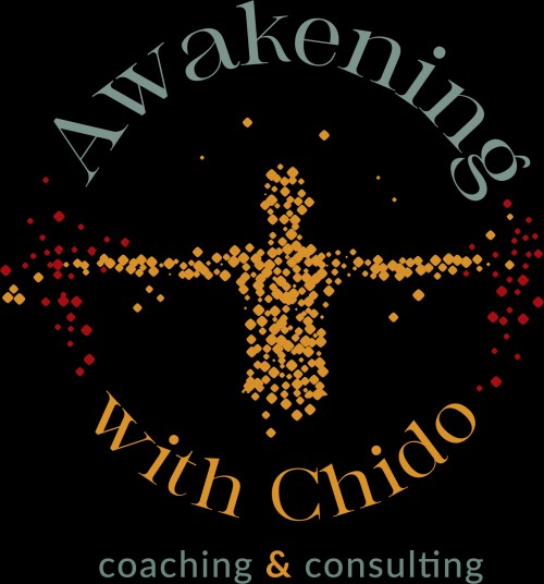 awakeningwithchido.com Image