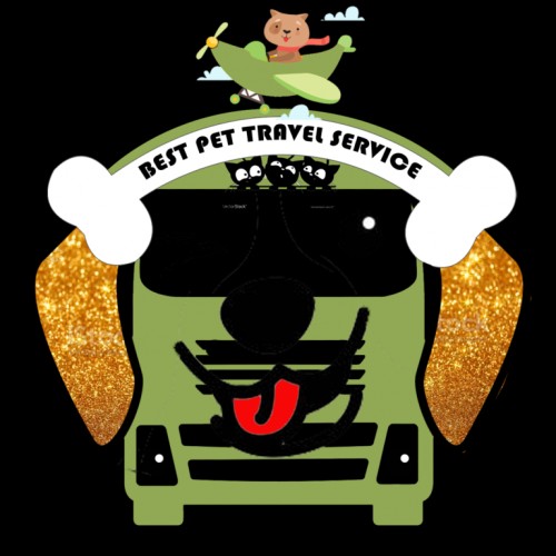 bestpettravelservice.com Image