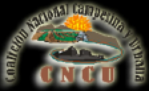 cncu-org.com Image