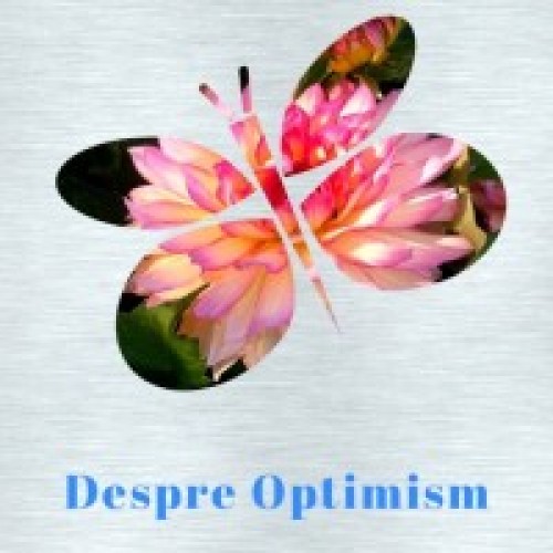 despreoptimism.com Image