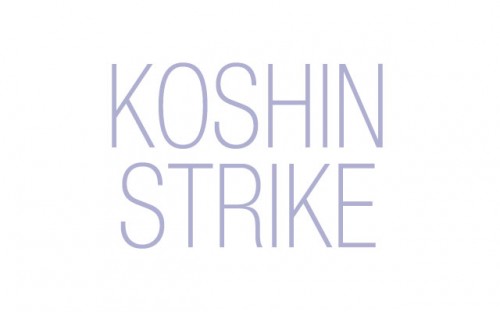 k-koshin.net Image