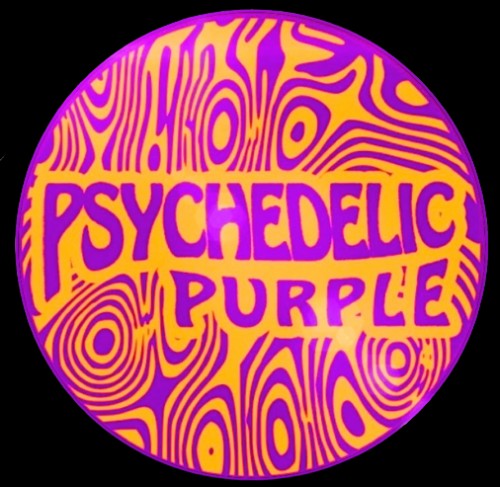 psychedelicpurpleband.com Image