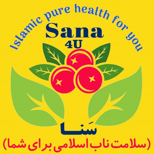 sana4u.com Image