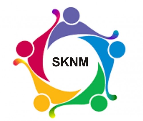 sknmngo.com Image