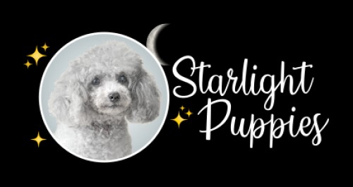 starlightpuppies.com Image