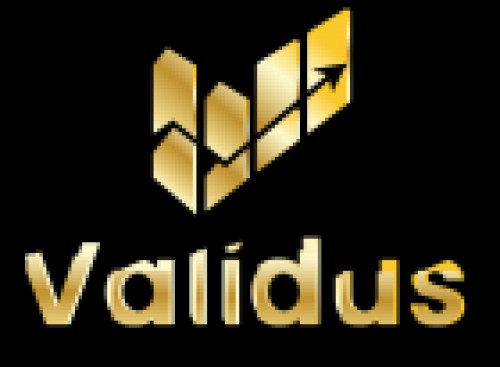 teamvalidus-official.com Image