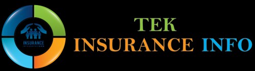 teckinsuranceinfo.com Image