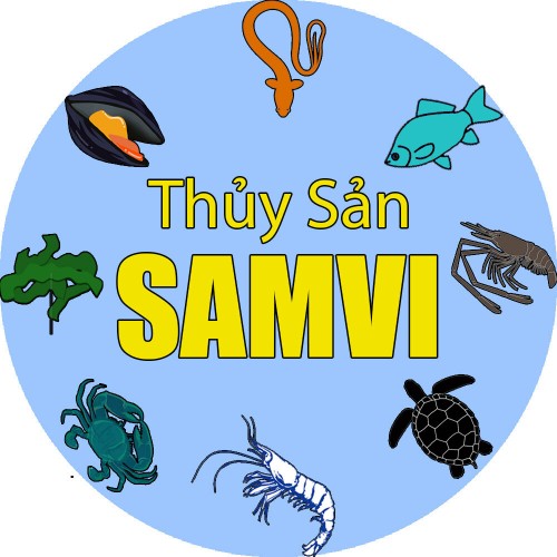 thuysansamvi.com Image