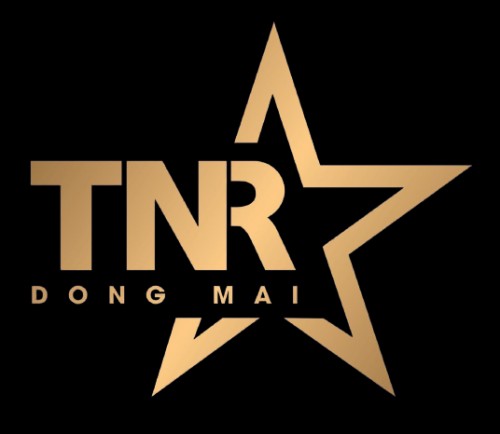 tnrstarsdongmai.com Image