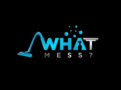 whatmesscleaning.com Image