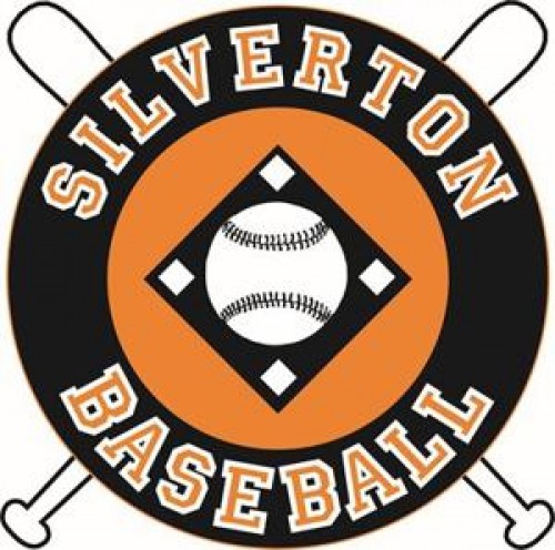 silvertonyouthbaseball.com Image