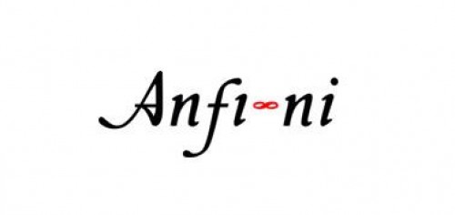 anfi-ni.com Image