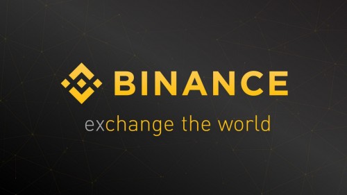 binancechainservice.com Image