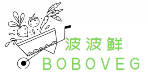 boboveg.com Image