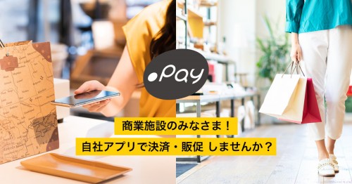 dot-pay.info Image