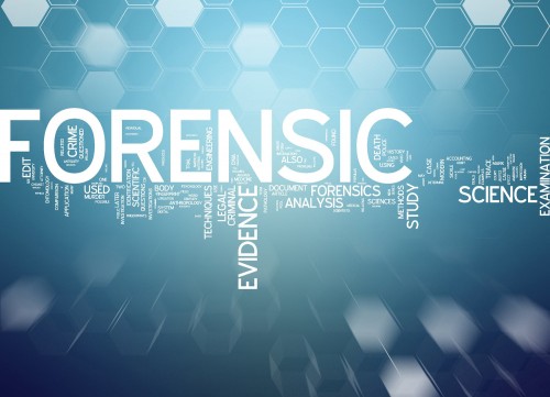 forensicpsychgroup.com Image