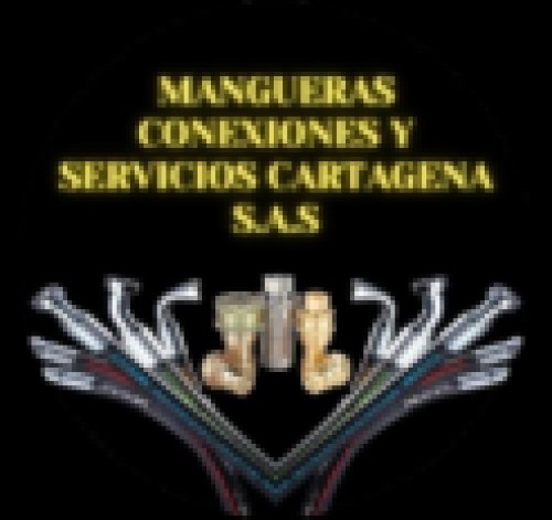 manguerascartagenasas.com Image