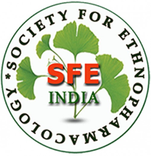 sfec2021.com Image