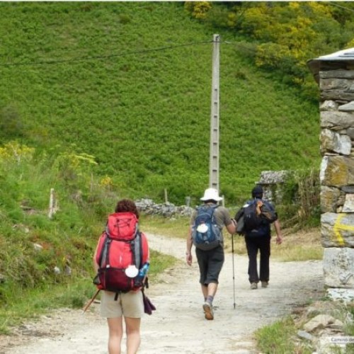 walkyourowncamino.com Image