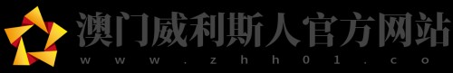 zhh01.com Image