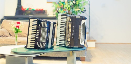 accordion.life Image