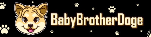 babybrotherdoge.com Image