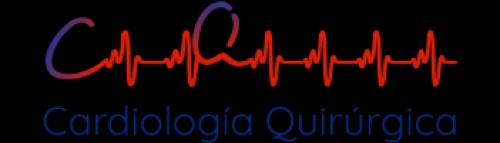 cardiologiaquirurgica.com Image