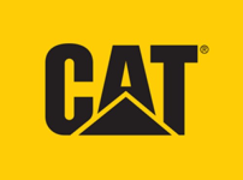 catbootssingapore.com Image