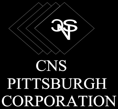 cnspittsburgh.com Image