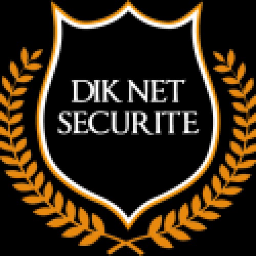 diknetsecurite.com Image