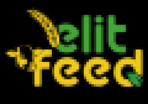 elitfeed.com Image