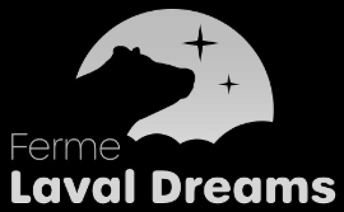 fermelavaldreams.com Image