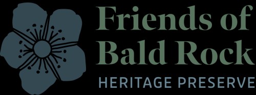 friendsofbaldrock.com Image