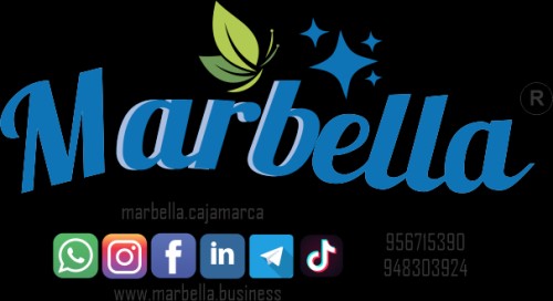 marbella.business Image