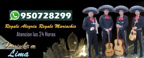 mariachissannicolas.com Image