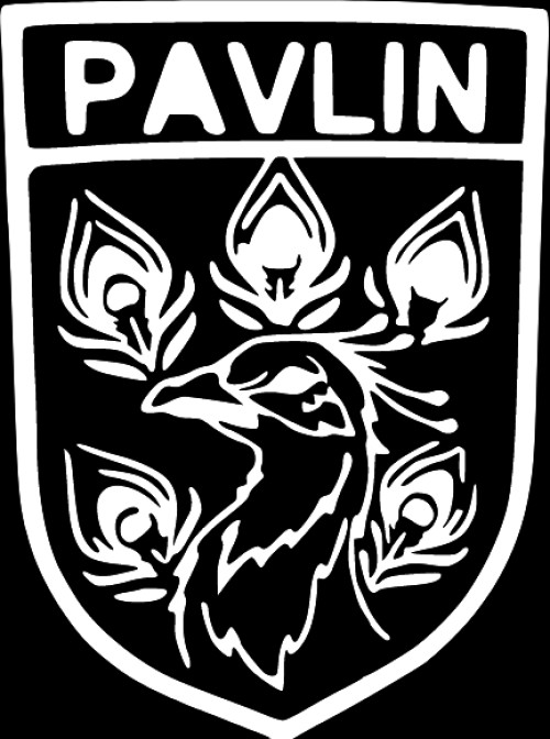 pavlin.rent Image