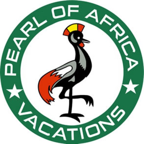 pearlofafrica.group Image